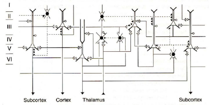 Figura 2