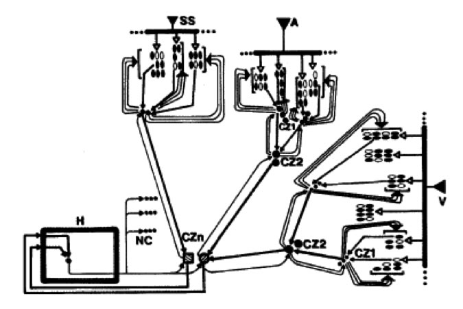 Figura 3
