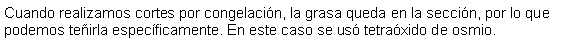 Cuadro de texto: Cuando realizamos cortes por congelacin, la grasa queda en la seccin, por lo que podemos teirla especficamente. En este caso se us tetraxido de osmio.