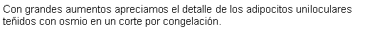 Cuadro de texto: Con grandes aumentos apreciamos el detalle de los adipocitos uniloculares teidos con osmio en un corte por congelacin.