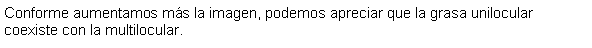 Cuadro de texto: Conforme aumentamos ms la imagen, podemos apreciar que la grasa unilocular coexiste con la multilocular.