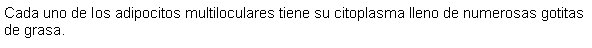 Cuadro de texto: Cada uno de los adipocitos multiloculares tiene su citoplasma lleno de numerosas gotitas de grasa.