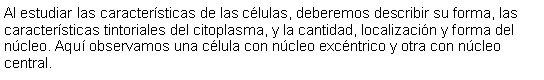 Cuadro de texto: Al estudiar las caractersticas de las clulas, deberemos describir su forma, las caractersticas tintoriales del citoplasma, y la cantidad, localizacin y forma del ncleo. Aqu observamos una clula con ncleo excntrico y otra con ncleo central.