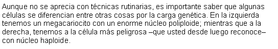 Cuadro de texto: Aunque no se aprecia con tcnicas rutinarias, es importante saber que algunas clulas se diferencian entre otras cosas por la carga gentica. En la izquierda tenemos un megacariocito con un enorme ncleo poliploide; mientras que a la derecha, tenemos a la clula ms peligrosa que usted desde luego reconoce con ncleo haploide. 