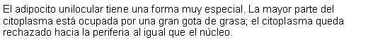 Cuadro de texto: El adipocito unilocular tiene una forma muy especial. La mayor parte del citoplasma est ocupada por una gran gota de grasa; el citoplasma queda rechazado hacia la periferia al igual que el ncleo. 