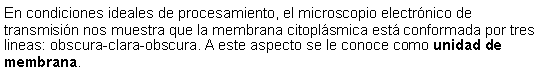 Cuadro de texto: En condiciones ideales de procesamiento, el microscopio electrnico de transmisin nos muestra que la membrana citoplsmica est conformada por tres lineas: obscura-clara-obscura. A este aspecto se le conoce como unidad de membrana.