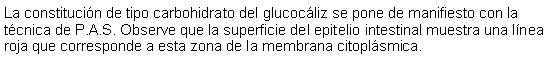 Cuadro de texto: La constitucin de tipo carbohidrato del glucocliz se pone de manifiesto con la tcnica de P.A.S. Observe que la superficie del epitelio intestinal muestra una lnea roja que corresponde a esta zona de la membrana citoplsmica. 