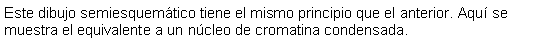 Cuadro de texto: Este dibujo semiesquemtico tiene el mismo principio que el anterior. Aqu se muestra el equivalente a un ncleo de cromatina condensada. 