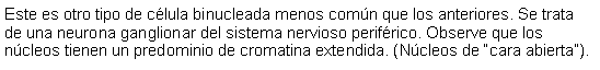 Cuadro de texto: Este es otro tipo de clula binucleada menos comn que los anteriores. Se trata de una neurona ganglionar del sistema nervioso perifrico. Observe que los ncleos tienen un predominio de cromatina extendida. (Ncleos de cara abierta).