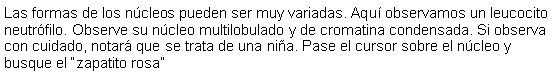 Cuadro de texto: Las formas de los ncleos pueden ser muy variadas. Aqu observamos un leucocito neutrfilo. Observe su ncleo multilobulado y de cromatina condensada. Si observa con cuidado, notar que se trata de una nia. Pase el cursor sobre el ncleo y busque el zapatito rosa 