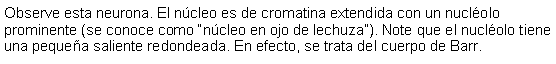 Cuadro de texto: Observe esta neurona. El ncleo es de cromatina extendida con un nuclolo prominente (se conoce como ncleo en ojo de lechuza). Note que el nuclolo tiene una pequea saliente redondeada. En efecto, se trata del cuerpo de Barr. 