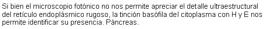 Cuadro de texto: Si bien el microscopio fotnico no nos permite apreciar el detalle ultraestructural del retculo endoplsmico rugoso, la tincin basfila del citoplasma con H y E nos permite identificar su presencia. Pncreas. 