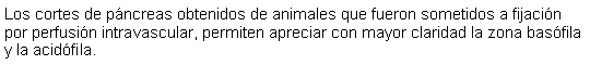 Cuadro de texto: Los cortes de pncreas obtenidos de animales que fueron sometidos a fijacin por perfusin intravascular, permiten apreciar con mayor claridad la zona basfila y la acidfila.  