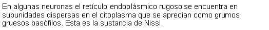 Cuadro de texto: En algunas neuronas el retculo endoplsmico rugoso se encuentra en subunidades dispersas en el citoplasma que se aprecian como grumos gruesos basfilos. Esta es la sustancia de Nissl. 