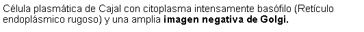 Cuadro de texto: Clula plasmtica de Cajal con citoplasma intensamente basfilo (Retculo endoplsmico rugoso) y una amplia imagen negativa de Golgi. 