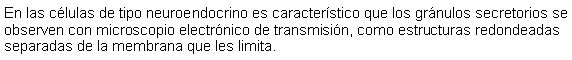 Cuadro de texto: En las clulas de tipo neuroendocrino es caracterstico que los grnulos secretorios se observen con microscopio electrnico de transmisin, como estructuras redondeadas separadas de la membrana que les limita. 