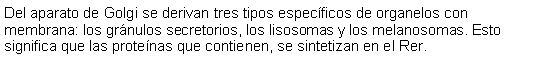 Cuadro de texto: Del aparato de Golgi se derivan tres tipos especficos de organelos con membrana: los grnulos secretorios, los lisosomas y los melanosomas. Esto significa que las protenas que contienen, se sintetizan en el Rer.