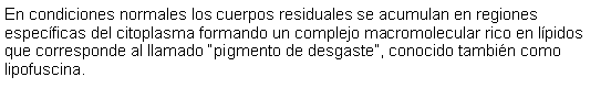 Cuadro de texto: En condiciones normales los cuerpos residuales se acumulan en regiones especficas del citoplasma formando un complejo macromolecular rico en lpidos que corresponde al llamado pigmento de desgaste, conocido tambin como lipofuscina.