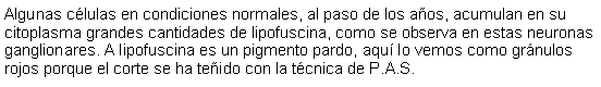 Cuadro de texto: Algunas clulas en condiciones normales, al paso de los aos, acumulan en su citoplasma grandes cantidades de lipofuscina, como se observa en estas neuronas ganglionares. A lipofuscina es un pigmento pardo, aqu lo vemos como grnulos rojos porque el corte se ha teido con la tcnica de P.A.S.