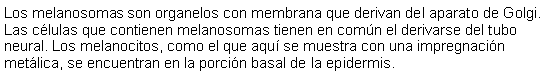 Cuadro de texto: Los melanosomas son organelos con membrana que derivan del aparato de Golgi. Las clulas que contienen melanosomas tienen en comn el derivarse del tubo neural. Los melanocitos, como el que aqu se muestra con una impregnacin metlica, se encuentran en la porcin basal de la epidermis. 