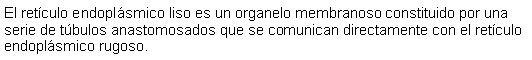 Cuadro de texto: El retculo endoplsmico liso es un organelo membranoso constituido por una serie de tbulos anastomosados que se comunican directamente con el retculo endoplsmico rugoso. 