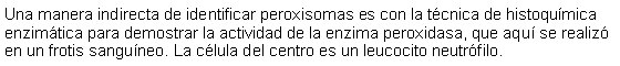 Cuadro de texto: Una manera indirecta de identificar peroxisomas es con la tcnica de histoqumica enzimtica para demostrar la actividad de la enzima peroxidasa, que aqu se realiz en un frotis sanguneo. La clula del centro es un leucocito neutrfilo. 