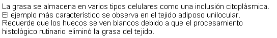 Cuadro de texto: La grasa se almacena en varios tipos celulares como una inclusin citoplsmica. El ejemplo ms caracterstico se observa en el tejido adiposo unilocular. Recuerde que los huecos se ven blancos debido a que el procesamiento histolgico rutinario elimin la grasa del tejido. 