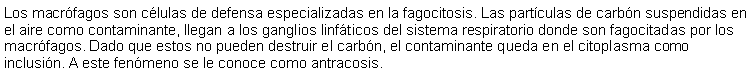 Cuadro de texto: Los macrfagos son clulas de defensa especializadas en la fagocitosis. Las partculas de carbn suspendidas en el aire como contaminante, llegan a los ganglios linfticos del sistema respiratorio donde son fagocitadas por los macrfagos. Dado que estos no pueden destruir el carbn, el contaminante queda en el citoplasma como inclusin. A este fenmeno se le conoce como antracosis. 