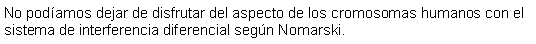 Cuadro de texto: No podamos dejar de disfrutar del aspecto de los cromosomas humanos con el sistema de interferencia diferencial segn Nomarski. 