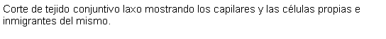 Cuadro de texto: Corte de tejido conjuntivo laxo mostrando los capilares y las clulas propias e inmigrantes del mismo.