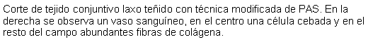 Cuadro de texto: Corte de tejido conjuntivo laxo teido con tcnica modificada de PAS. En la derecha se observa un vaso sanguneo, en el centro una clula cebada y en el resto del campo abundantes fibras de colgena.