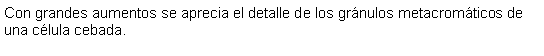 Cuadro de texto: Con grandes aumentos se aprecia el detalle de los grnulos metacromticos de una clula cebada.