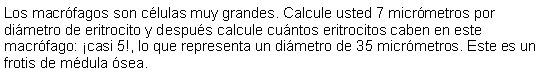 Cuadro de texto: Los macrfagos son clulas muy grandes. Calcule usted 7 micrmetros por dimetro de eritrocito y despus calcule cuntos eritrocitos caben en este macrfago: casi 5!, lo que representa un dimetro de 35 micrmetros. Este es un frotis de mdula sea.