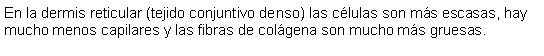 Cuadro de texto: En la dermis reticular (tejido conjuntivo denso) las clulas son ms escasas, hay mucho menos capilares y las fibras de colgena son mucho ms gruesas.