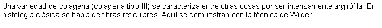 Cuadro de texto: Una variedad de colgena (colgena tipo III) se caracteriza entre otras cosas por ser intensamente argirfila. En histologa clsica se habla de fibras reticulares. Aqu se demuestran con la tcnica de Wilder.