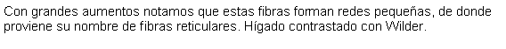 Cuadro de texto: Con grandes aumentos notamos que estas fibras forman redes pequeas, de donde proviene su nombre de fibras reticulares. Hgado contrastado con Wilder.