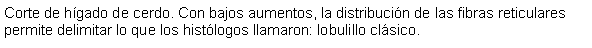 Cuadro de texto: Corte de hgado de cerdo. Con bajos aumentos, la distribucin de las fibras reticulares permite delimitar lo que los histlogos llamaron: lobulillo clsico.