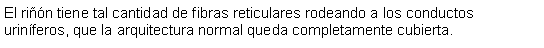 Cuadro de texto: El rin tiene tal cantidad de fibras reticulares rodeando a los conductos urinferos, que la arquitectura normal queda completamente cubierta.