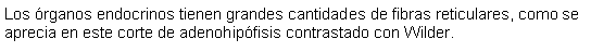 Cuadro de texto: Los rganos endocrinos tienen grandes cantidades de fibras reticulares, como se aprecia en este corte de adenohipfisis contrastado con Wilder.