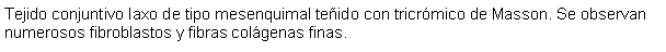 Cuadro de texto: Tejido conjuntivo laxo de tipo mesenquimal teñido con tricrómico de Masson. Se observan numerosos fibroblastos y fibras colágenas finas.
