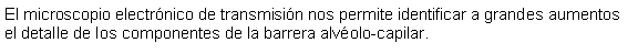 Cuadro de texto: El microscopio electrnico de transmisin nos permite identificar a grandes aumentos el detalle de los componentes de la barrera alvolo-capilar. 