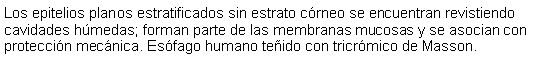 Cuadro de texto: Los epitelios planos estratificados sin estrato crneo se encuentran revistiendo cavidades hmedas; forman parte de las membranas mucosas y se asocian con proteccin mecnica. Esfago humano teido con tricrmico de Masson.