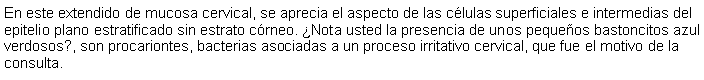 Cuadro de texto: En este extendido de mucosa cervical, se aprecia el aspecto de las clulas superficiales e intermedias del epitelio plano estratificado sin estrato crneo. Nota usted la presencia de unos pequeos bastoncitos azul verdosos?, son procariontes, bacterias asociadas a un proceso irritativo cervical, que fue el motivo de la consulta.