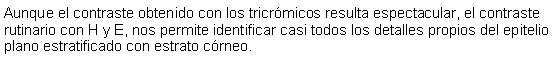 Cuadro de texto: Aunque el contraste obtenido con los tricrmicos resulta espectacular, el contraste rutinario con H y E, nos permite identificar casi todos los detalles propios del epitelio plano estratificado con estrato crneo. 