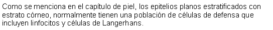 Cuadro de texto: Como se menciona en el captulo de piel, los epitelios planos estratificados con estrato crneo, normalmente tienen una poblacin de clulas de defensa que incluyen linfocitos y clulas de Langerhans. 