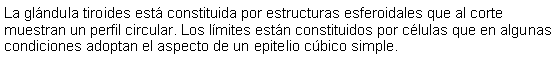 Cuadro de texto: La glndula tiroides est constituida por estructuras esferoidales que al corte muestran un perfil circular. Los lmites estn constituidos por clulas que en algunas condiciones adoptan el aspecto de un epitelio cbico simple. 