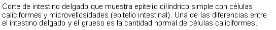 Cuadro de texto: Corte de intestino delgado que muestra epitelio cilndrico simple con clulas caliciformes y microvellosidades (epitelio intestinal). Una de las diferencias entre el intestino delgado y el grueso es la cantidad normal de clulas caliciformes. 