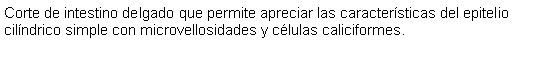 Cuadro de texto: Corte de intestino delgado que permite apreciar las caractersticas del epitelio cilndrico simple con microvellosidades y clulas caliciformes. 