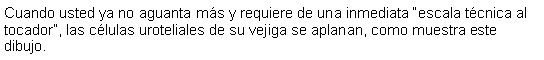 Cuadro de texto: Cuando usted ya no aguanta ms y requiere de una inmediata escala tcnica al tocador, las clulas uroteliales de su vejiga se aplanan, como muestra este dibujo.