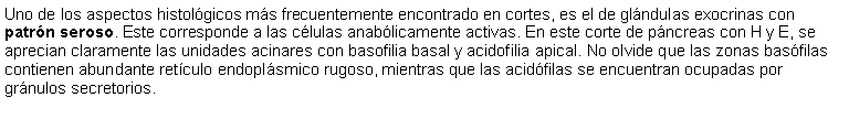 Cuadro de texto: Uno de los aspectos histolgicos ms frecuentemente encontrado en cortes, es el de glndulas exocrinas con patrn seroso. Este corresponde a las clulas anablicamente activas. En este corte de pncreas con H y E, se aprecian claramente las unidades acinares con basofilia basal y acidofilia apical. No olvide que las zonas basfilas contienen abundante retculo endoplsmico rugoso, mientras que las acidfilas se encuentran ocupadas por grnulos secretorios.